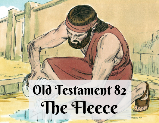 OT 082 - The Fleece